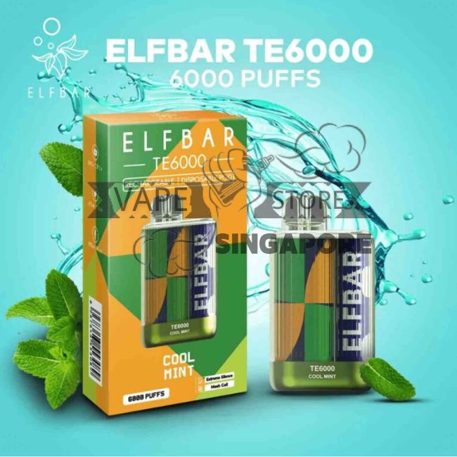 elfbar-te-6000-puff-disposable-vape-cool-mint-singapore-vape-store