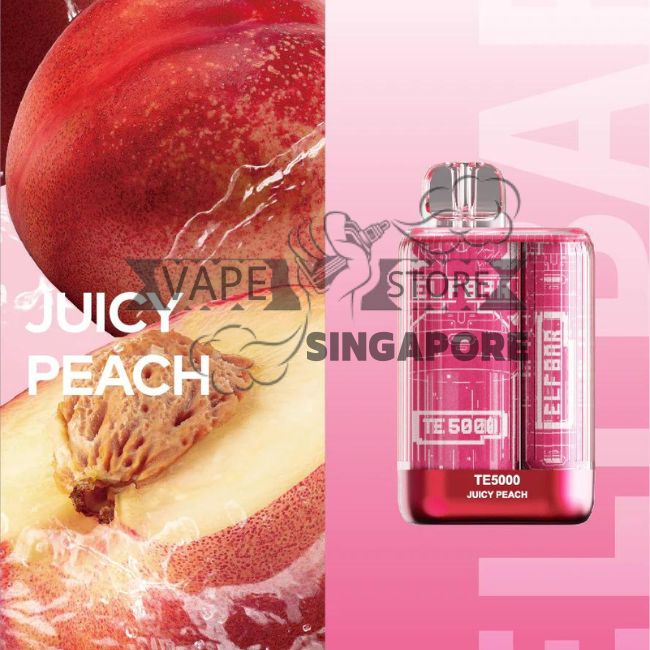 elfbar-te-6000-puff-disposable-vape-juicy-peach-singapore-vape-store